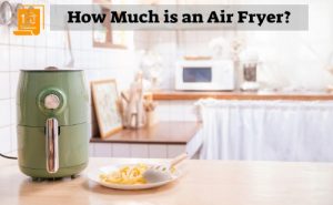 How Much Is An Air Fryer | Air Fryer Buying Guide