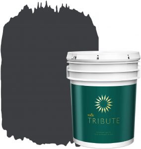 KILZ TRIBUTE Interior Matte Paint and Primer in One, 5 Gallon, Deep Onyx (TB-40)