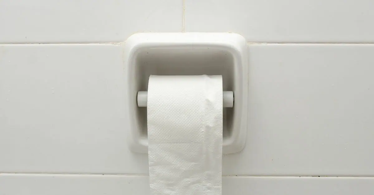 How To Remove Toilet Paper Holder Easily?