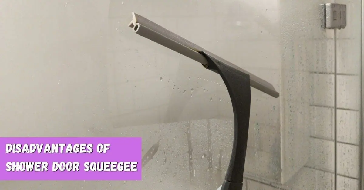 Advantages and Disadvantages of Shower Door Squeegee