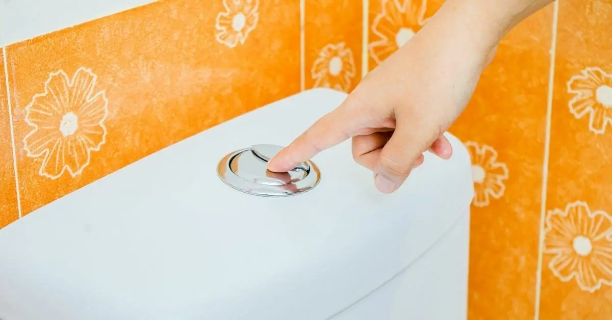 How To Use a Toilet Brush for Septic