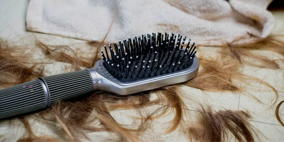 Household Items That Start With H