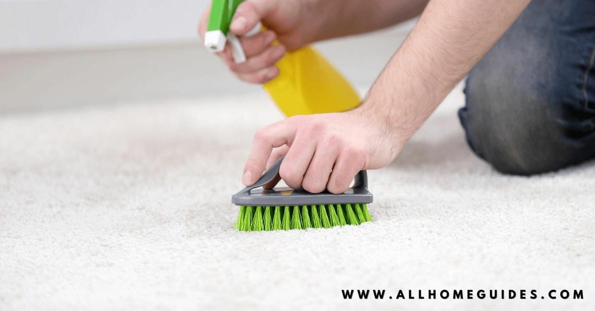 How To Clean Carpet Without a Vacuum