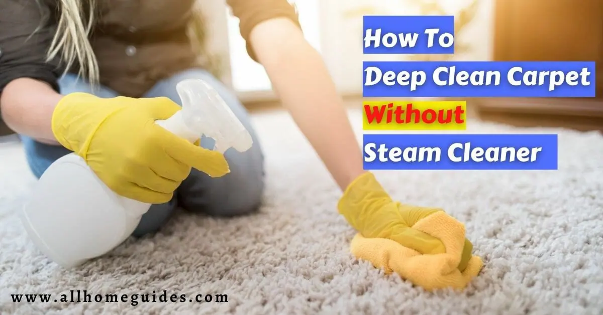 How To Deep Clean Carpet Without Steam Cleaner