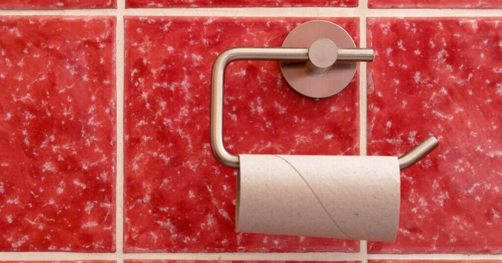 How To Remove Toilet Paper Holder Easily?