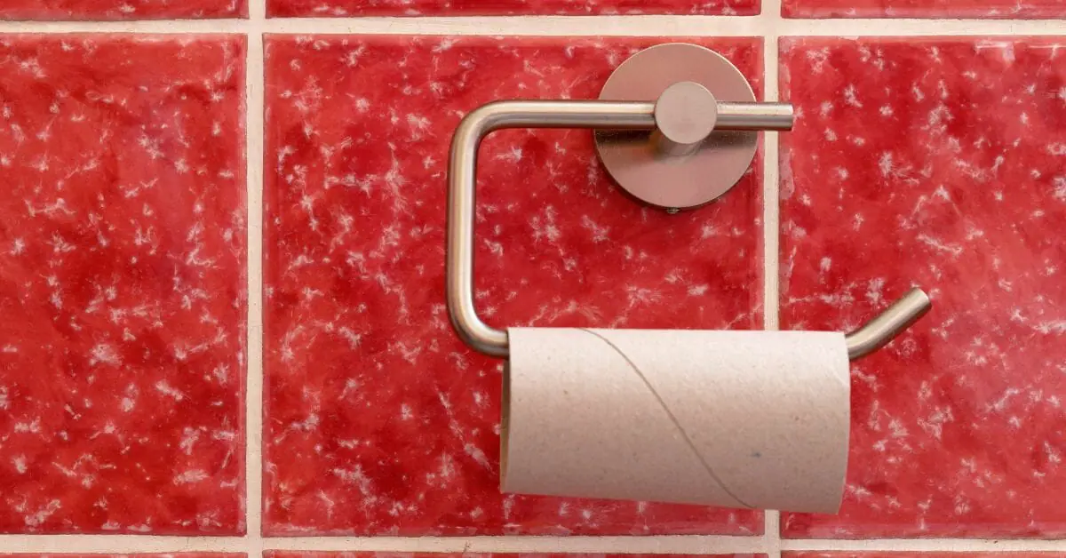 How To Remove Toilet Paper Holder Easily?