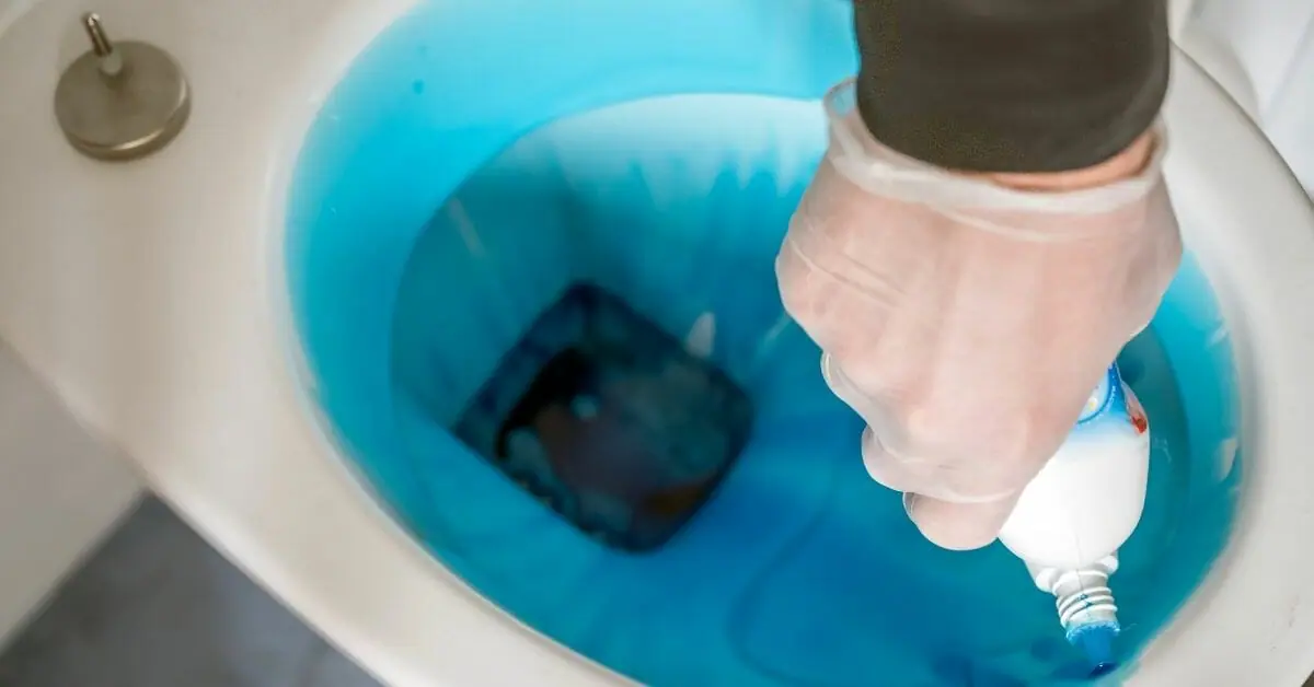 How To Use a Toilet Brush for Septic