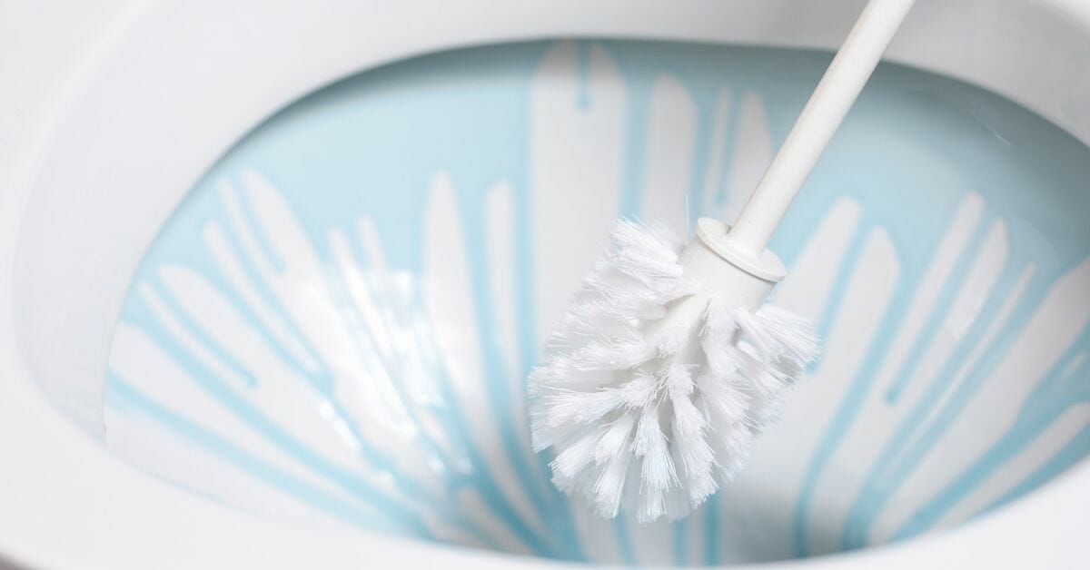 How To Use a Toilet Brush for Septic