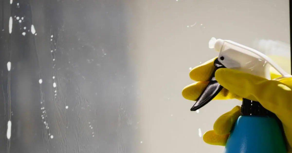 How To Clean Windows with a Squeegee?