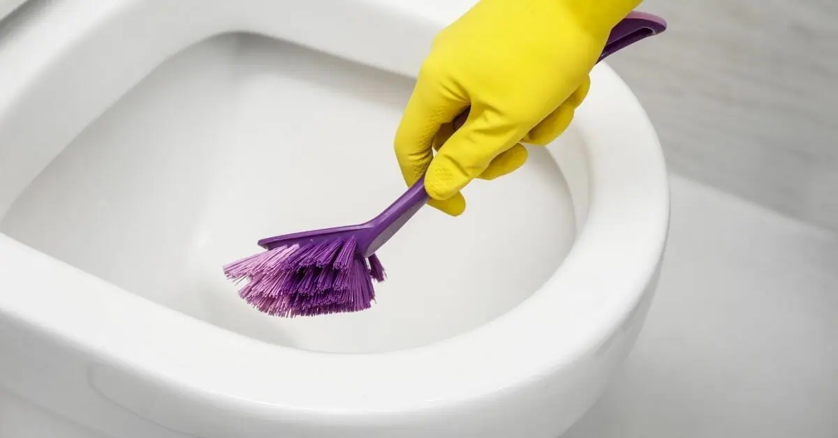 How To How To Use a Toilet Brush for Septic
