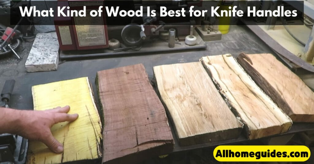 What Kind of Wood Is Best for Knife Handles
