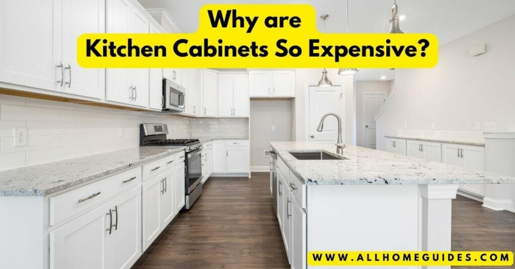 Why Are Kitchen Cabinets So Expensive 1024x536 