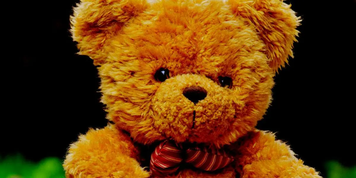 Household Items That Start With Y