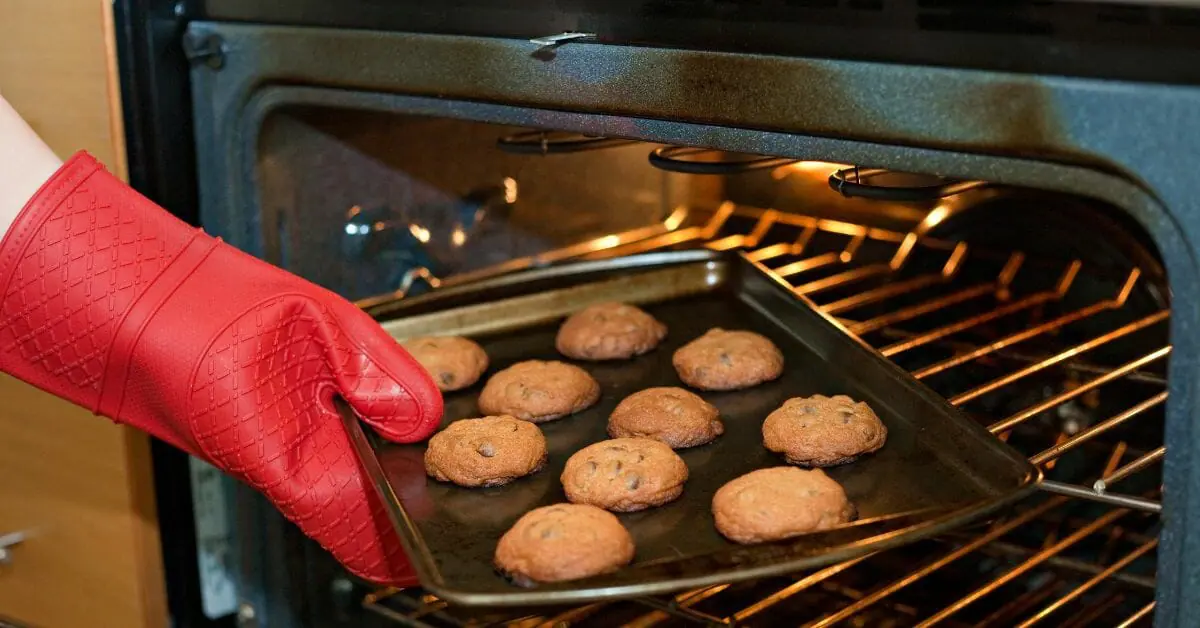 What to Use a Toaster Oven For?