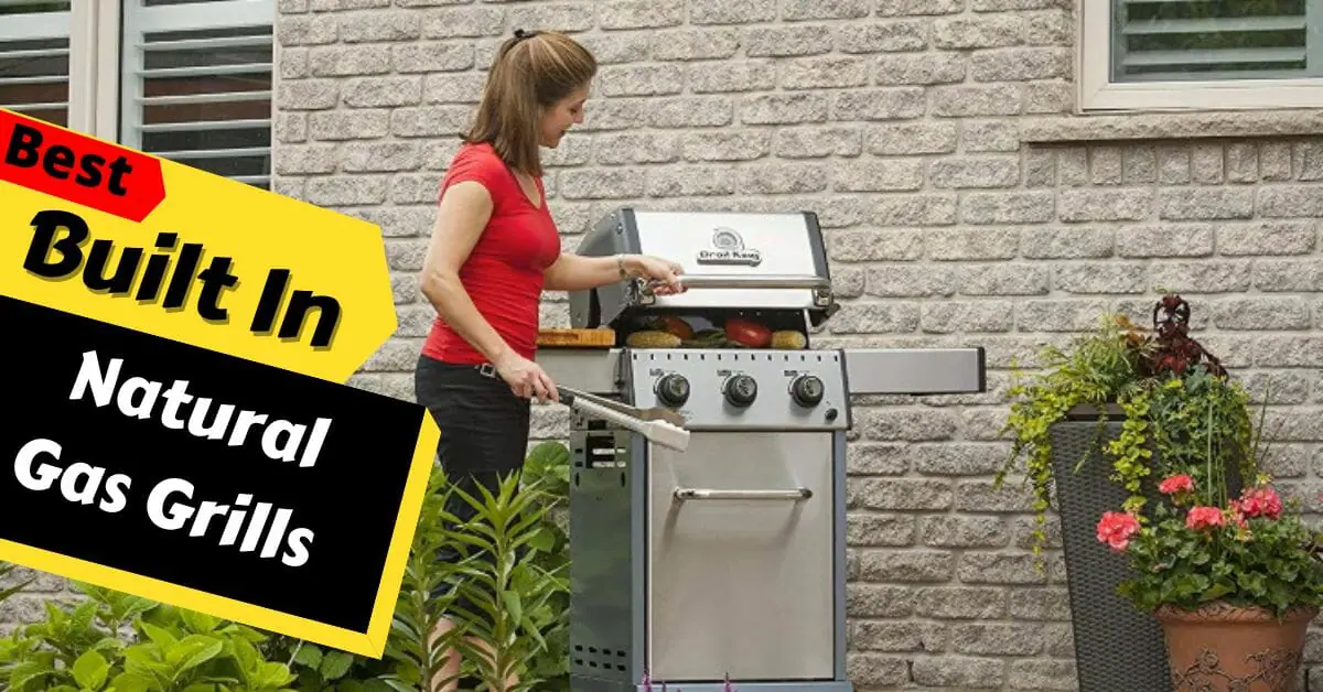 Best Built In Natural Gas Grills