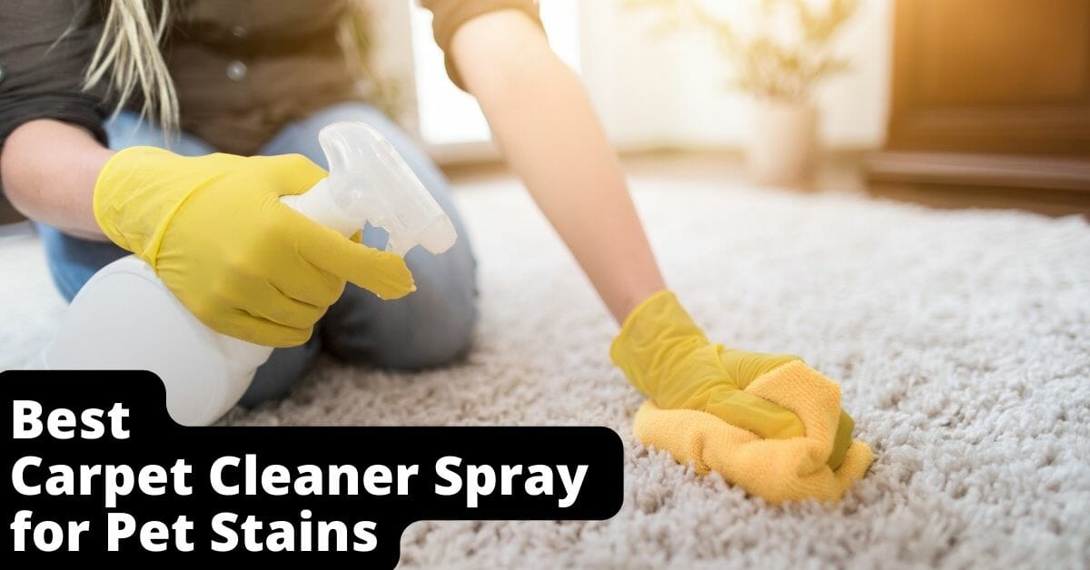 Best Carpet Cleaner Spray for Pet Stains