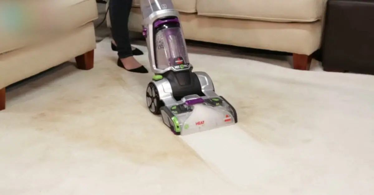 best carpet cleaner machine solution for dog urine