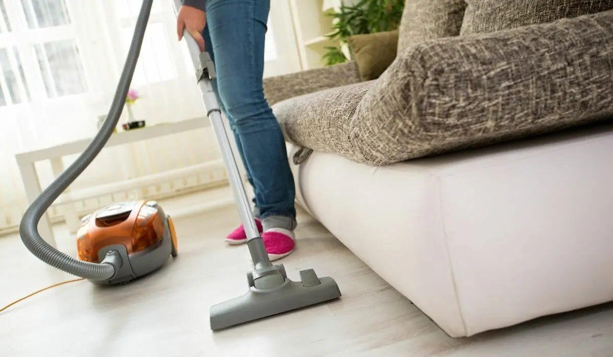 best lightweight vacuum cleaner for carpet and hardwood floors