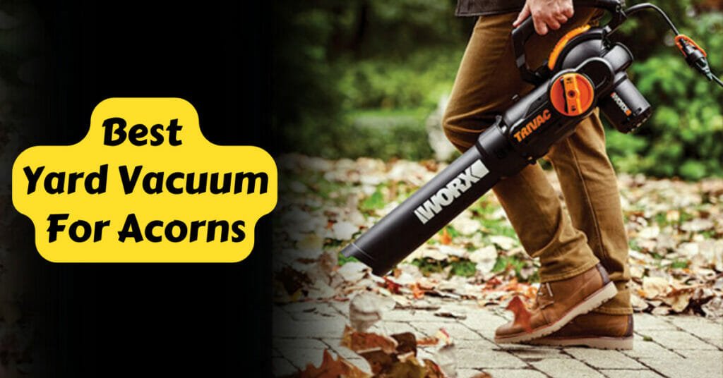 The Best Yard Vacuum For Acorns to Build Your Dream Home
