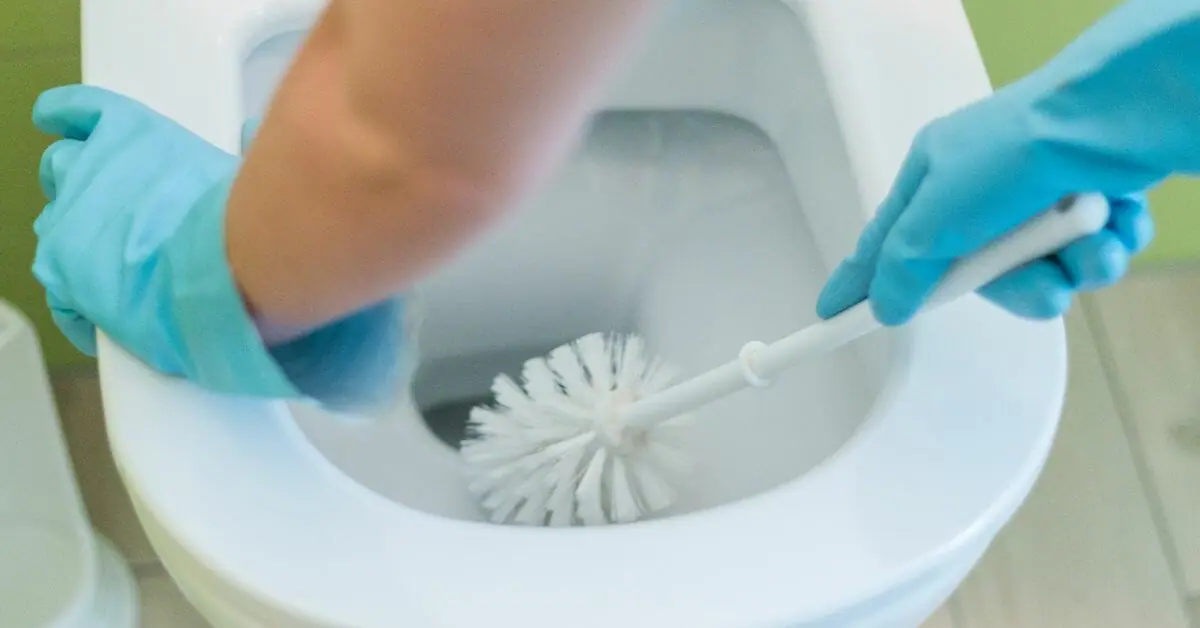 best disposable toilet brush