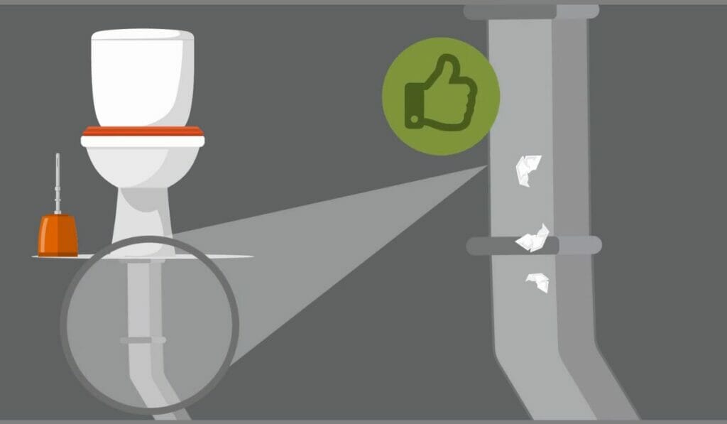 Can Toilet Paper Be Flushed All You Need to Know