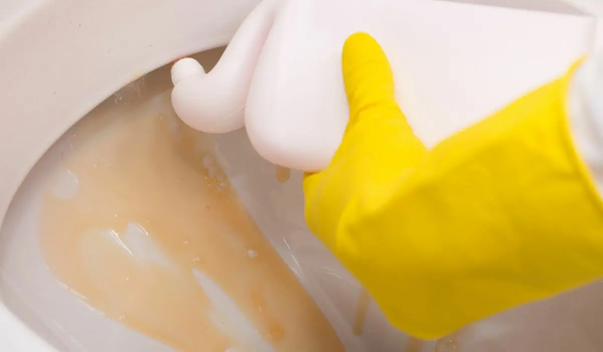 Can You Use Toilet Bowl Cleaner With a Septic System?