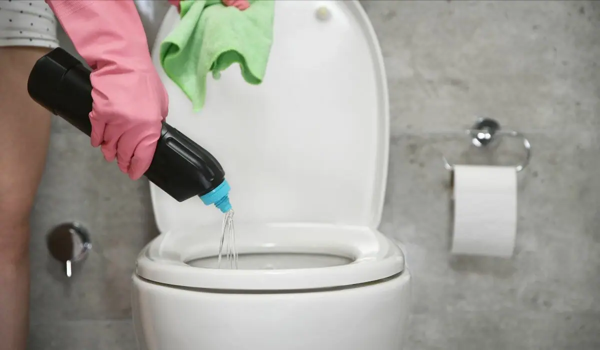 Can You Use Toilet Bowl Cleaner With a Septic System?