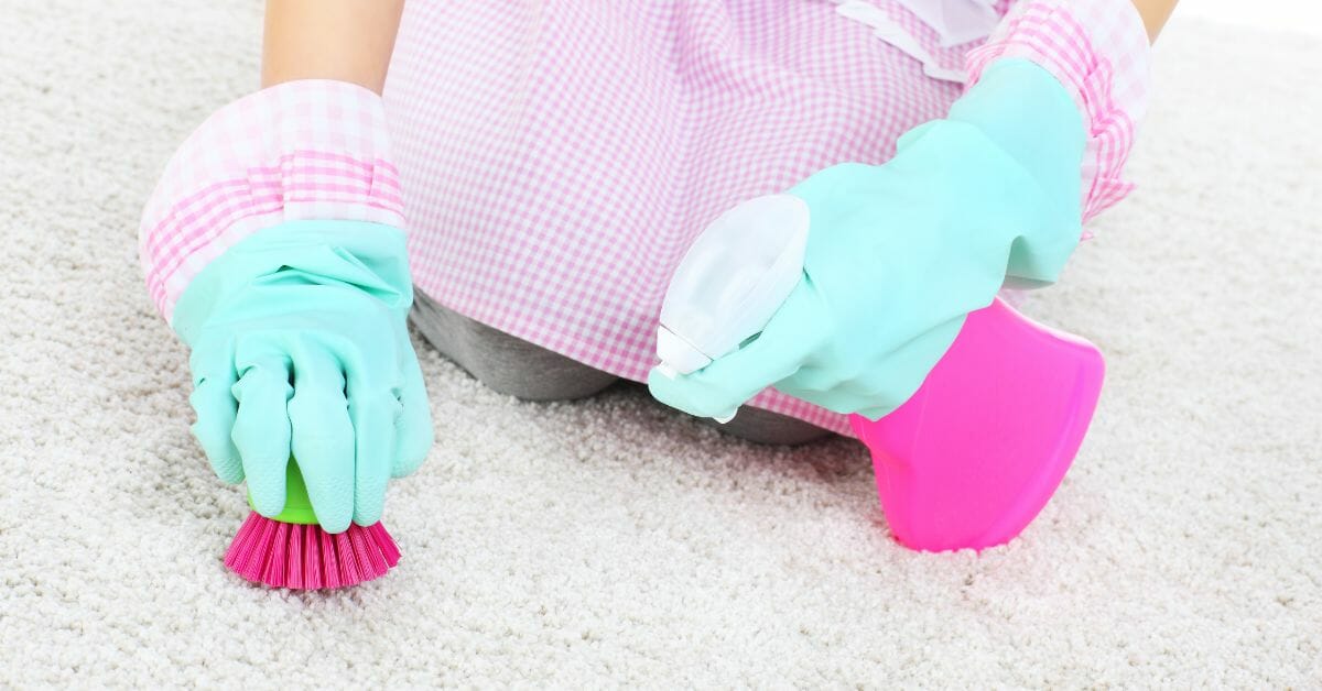 best carpet cleaning spray for pet stains