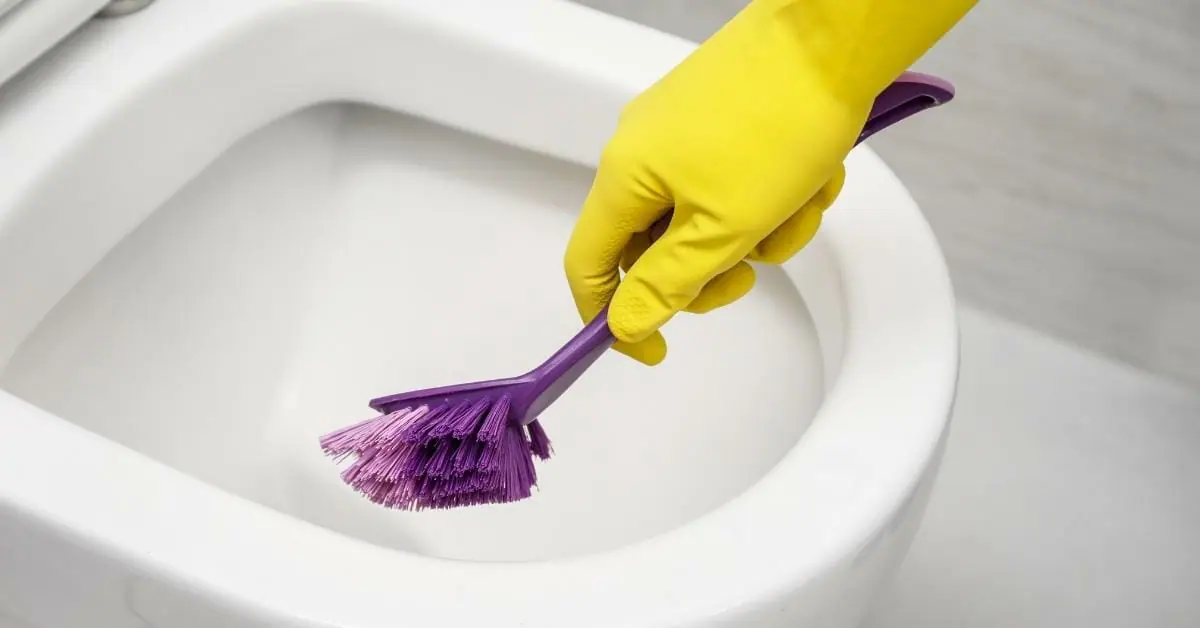 Do You Really Need a Toilet Brush?
