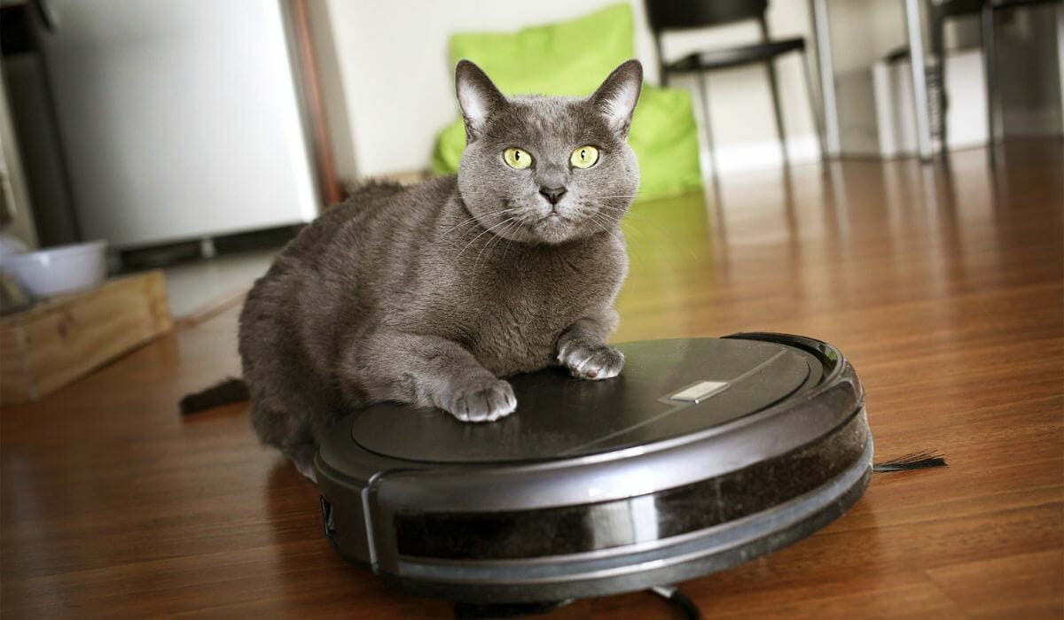 Best Inexpensive Robot Vacuum for Pet Hair