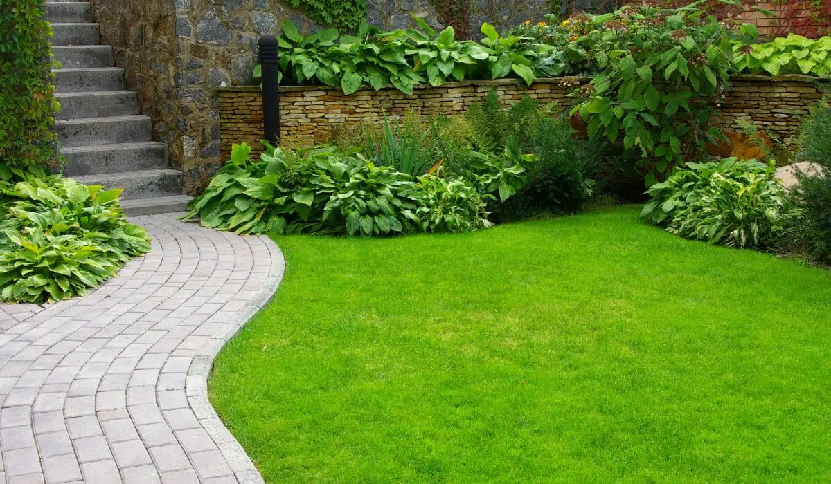 What Is the Difference Between Lawn and Garden?