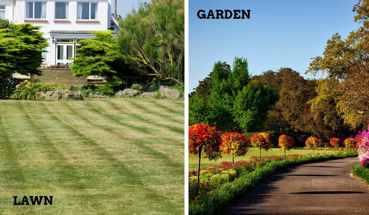 What Is the Difference Between Lawn and Garden?