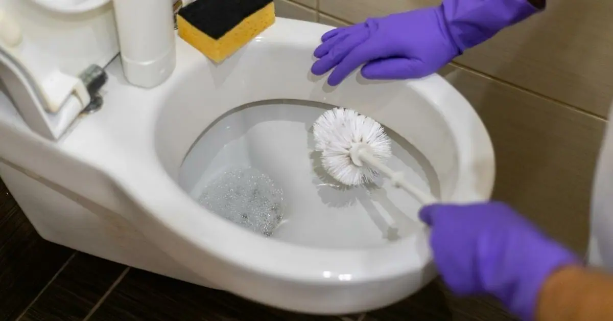 how to clean a toilet brush with poop on it