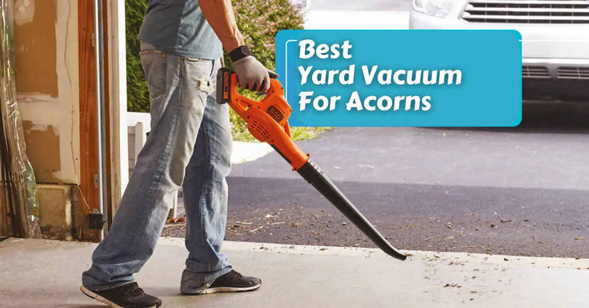kimo yard vacuum for acorns